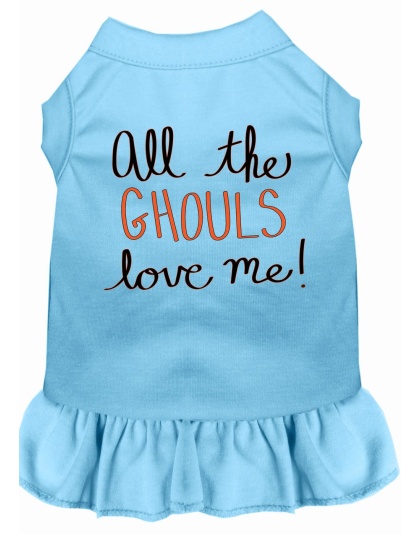 All the Ghouls Screen Print Dog Dress Baby Blue 4X (22)