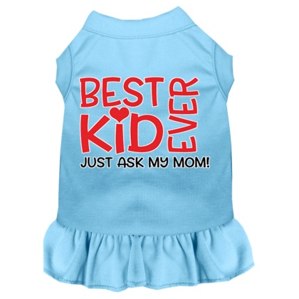 Ask My Mom Screen Print Dog Dress Baby Blue 4X (22)