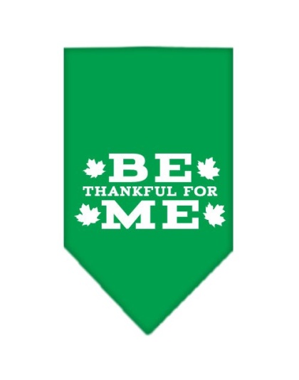 Be Thankful for Me Screen Print Bandana Emerald Green Large