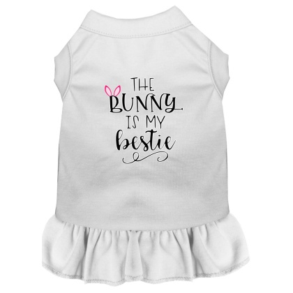 Bunny is my Bestie Screen Print Dog Dress White 4X (22)