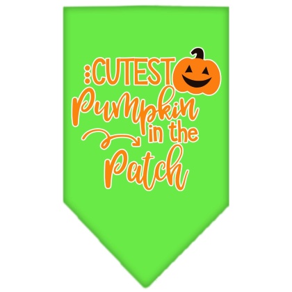 Cutest Pumpkin in the Patch Screen Print Bandana Lime Green Large