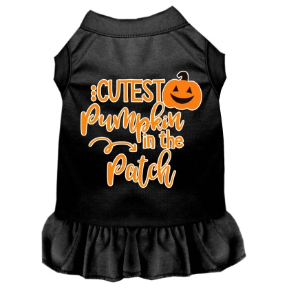 Cutest Pumpkin in the Patch Screen Print Dog Dress Black 4X