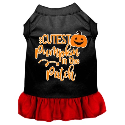 Cutest Pumpkin in the Patch Screen Print Dog Dress Black with Red Lg