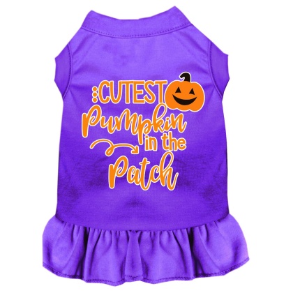 Cutest Pumpkin in the Patch Screen Print Dog Dress Purple 4X