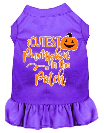 Cutest Pumpkin in the Patch Screen Print Dog Dress Purple 4X