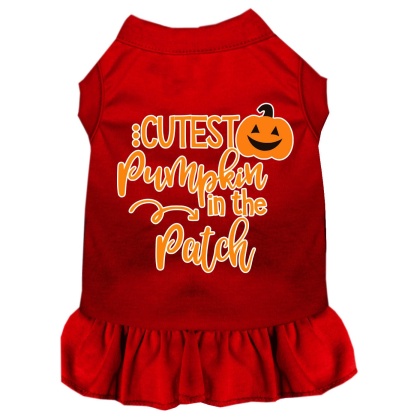 Cutest Pumpkin in the Patch Screen Print Dog Dress Red 4X