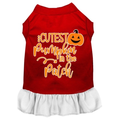 Cutest Pumpkin in the Patch Screen Print Dog Dress Red with White Lg
