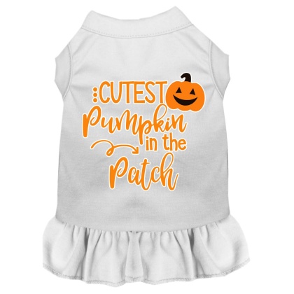 Cutest Pumpkin in the Patch Screen Print Dog Dress White 4X