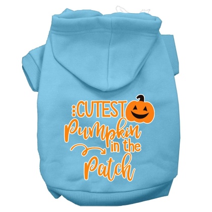 Cutest Pumpkin in the Patch Screen Print Dog Hoodie Baby Blue L