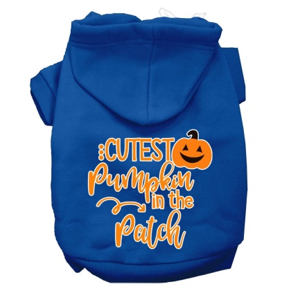 Cutest Pumpkin in the Patch Screen Print Dog Hoodie Blue L
