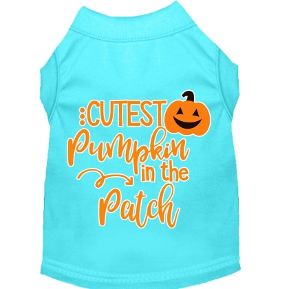 Cutest Pumpkin in the Patch Screen Print Dog Shirt Aqua Lg