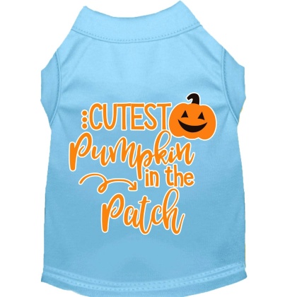 Cutest Pumpkin in the Patch Screen Print Dog Shirt Baby Blue Lg