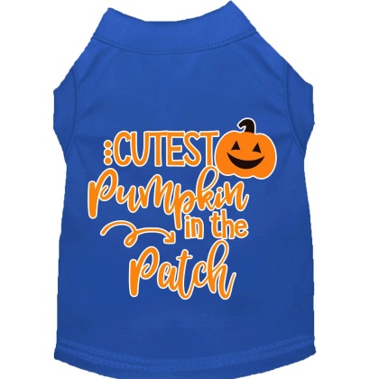 Cutest Pumpkin in the Patch Screen Print Dog Shirt Blue Lg