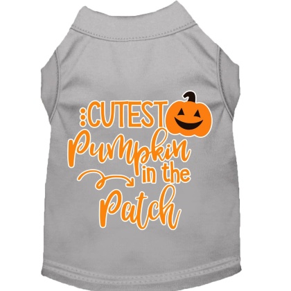 Cutest Pumpkin in the Patch Screen Print Dog Shirt Grey Lg