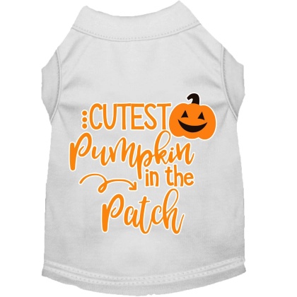 Cutest Pumpkin in the Patch Screen Print Dog Shirt White Lg