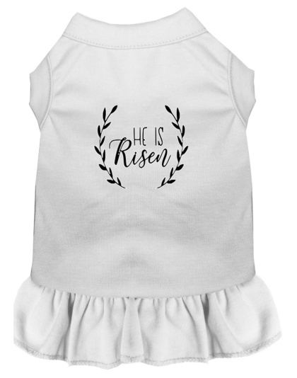 He Is Risen Screen Print Dog Dress White 4X (22)