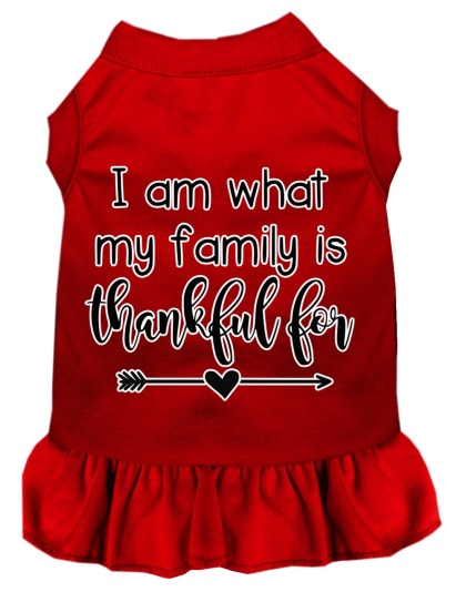 I Am What My Family is Thankful For Screen Print Dog Dress Red 4X