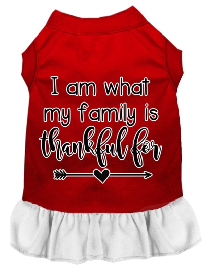 I Am What My Family is Thankful For Screen Print Dog Dress Red with White Lg