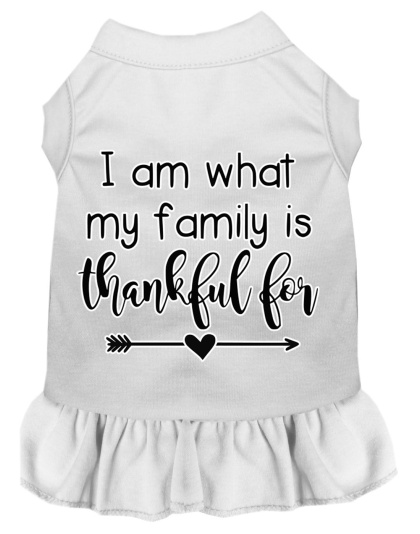 I Am What My Family is Thankful For Screen Print Dog Dress White 4X