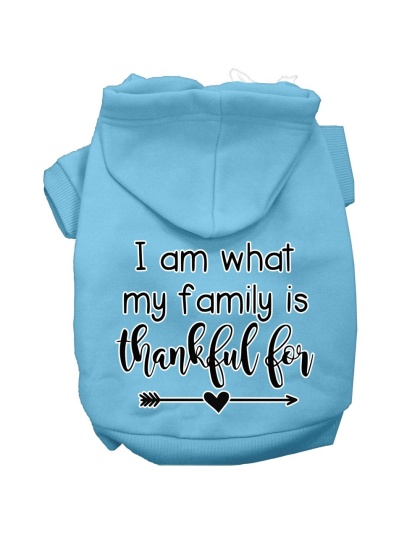 I Am What My Family is Thankful For Screen Print Dog Hoodie Baby Blue L