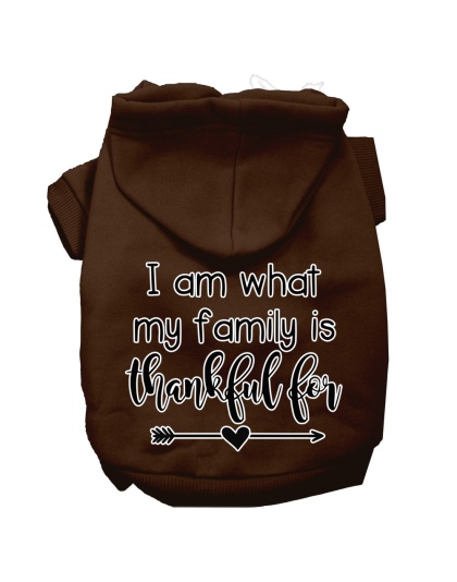 I Am What My Family is Thankful For Screen Print Dog Hoodie Brown L