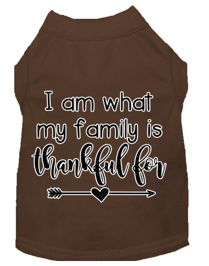 I Am What My Family is Thankful For Screen Print Dog Shirt Brown Lg