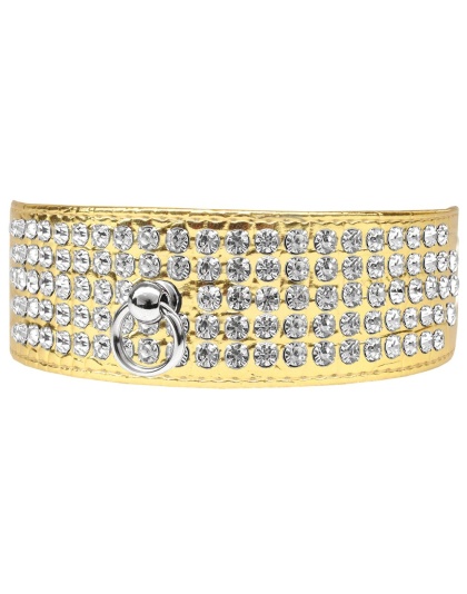 Mirage 5 Row Rhinestone Designer Croc Dog Collar Gold Size 12