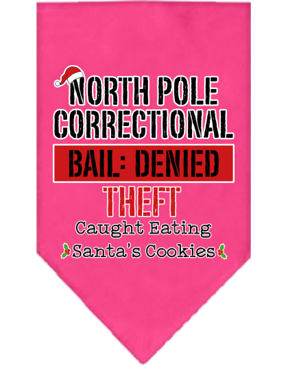 North Pole Correctional Screen Print Bandana Bright Pink Size Small