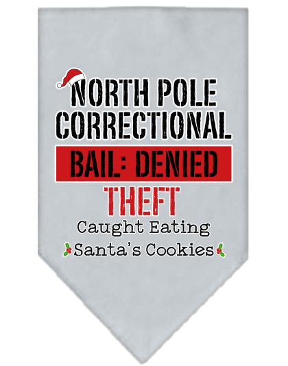 North Pole Correctional Screen Print Bandana Grey Size Small