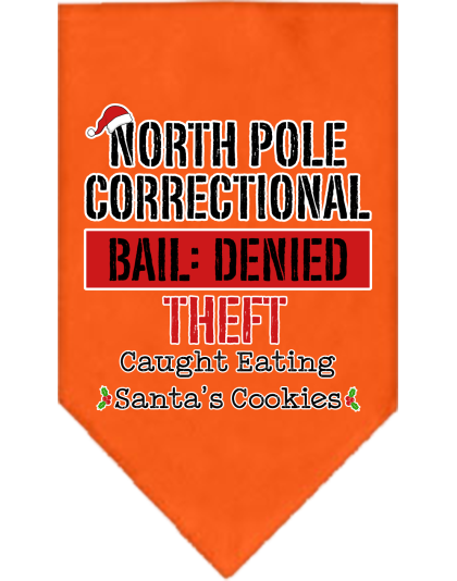 North Pole Correctional Screen Print Bandana Orange Size Small