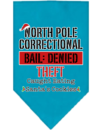 North Pole Correctional Screen Print Bandana Turquoise Size Small
