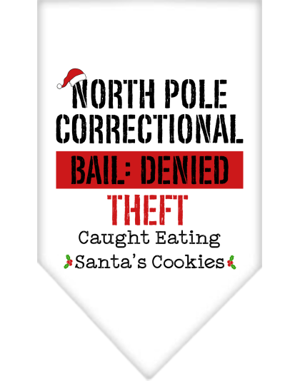 North Pole Correctional Screen Print Bandana White Size Small