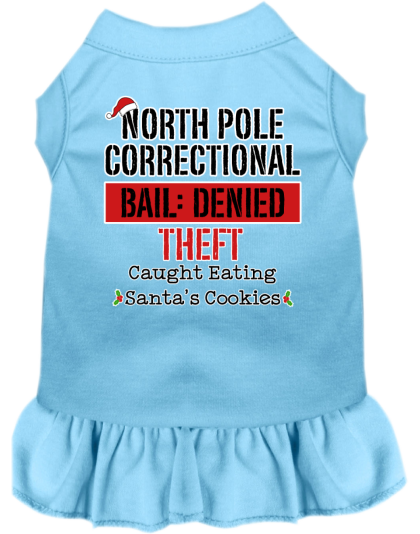 North Pole Correctional Screen Print Dog Dress Baby Blue Size XS