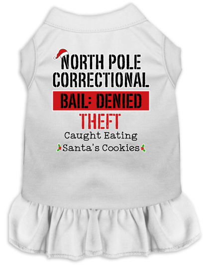 North Pole Correctional Screen Print Dog Dress White Size XS