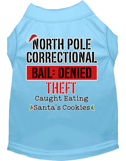 North Pole Correctional Screen Print Dog Shirt Baby Blue Size XS