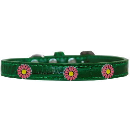 Pink Daisy Widget Croc Dog Collar Emerald Green Size 10