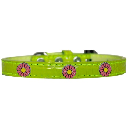 Pink Daisy Widget Croc Dog Collar Lime Green Size 10