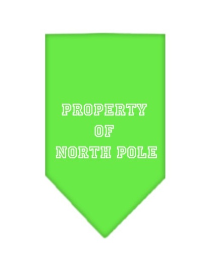Property of North Pole Screen Print Bandana Lime Green Large