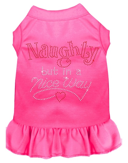 Rhinestone Naughty but in a nice way Dress Bright Pink 4X