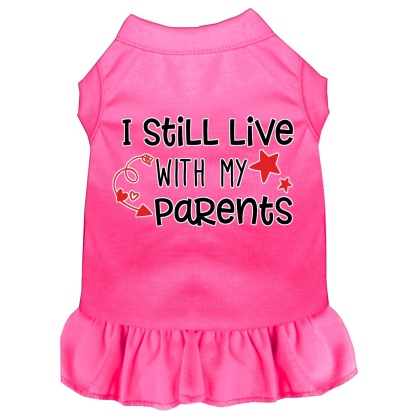 Still Live with my Parents Screen Print Dog Dress Bright Pink 4X (22)