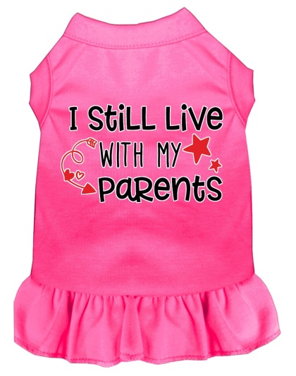 Still Live with my Parents Screen Print Dog Dress Bright Pink 4X (22)