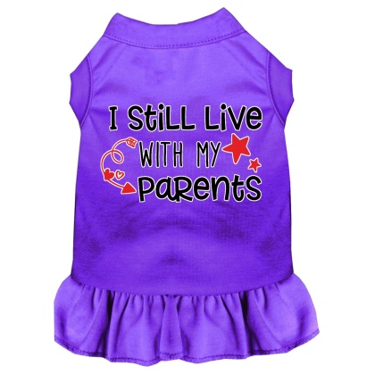 Still Live with my Parents Screen Print Dog Dress Purple 4X (22)