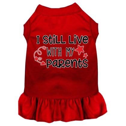 Still Live with my Parents Screen Print Dog Dress Red 4X (22)