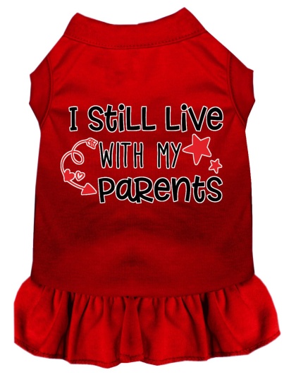 Still Live with my Parents Screen Print Dog Dress Red 4X (22)