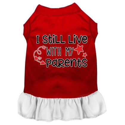 Still Live with my Parents Screen Print Dog Dress Red with White Lg