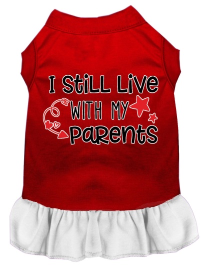 Still Live with my Parents Screen Print Dog Dress Red with White Lg