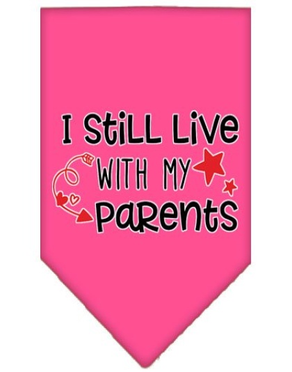 Still Live with my Parents Screen Print Pet Bandana Bright Pink Large
