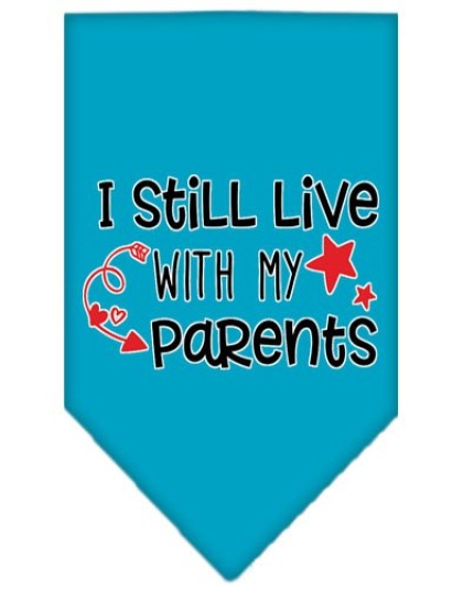 Still Live with my Parents Screen Print Pet Bandana Turquoise Large