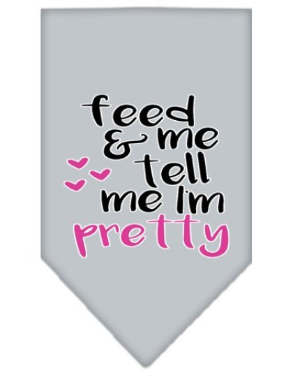Tell me I'm Pretty Screen Print Pet Bandana Grey Large