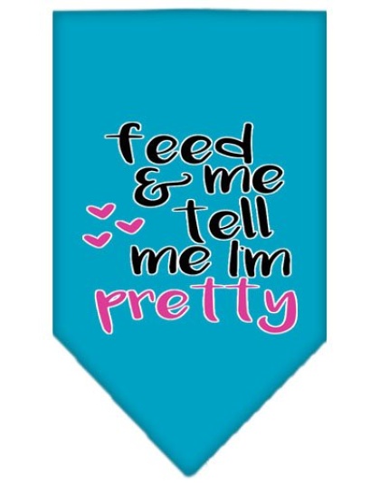 Tell me I'm Pretty Screen Print Pet Bandana Turquoise Large